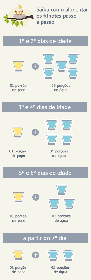 imagem imagem