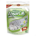 Areia Hig Gatos Silica Absorcat Micro Cristais Econ 4 kg